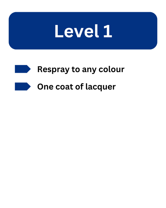 Service Level 1