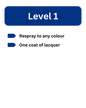 Service Level 1