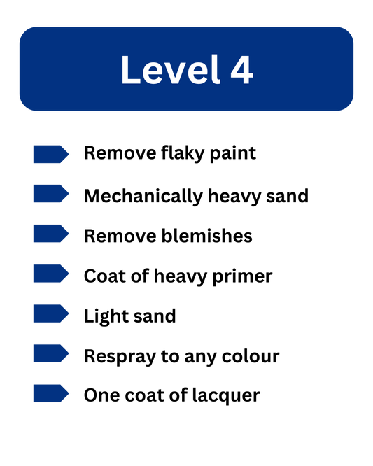 Service level 4